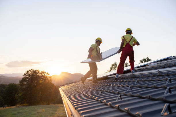 Best Roof Ventilation Installation  in Sappington, MO