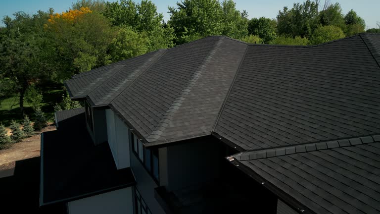 Best Metal Roofing Installation  in Sappington, MO
