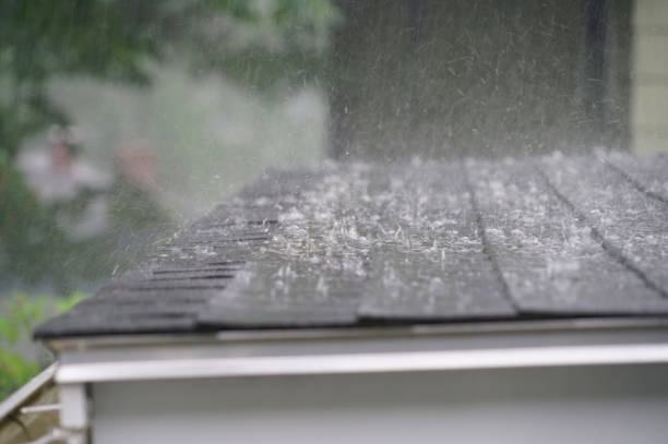 Best Gutter Installation and Repair  in Sappington, MO
